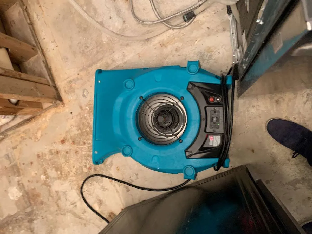 Air mover drying equipment for Mold Remediation & Removal in East Foothills